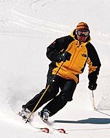 Alpine ski stance.jpg