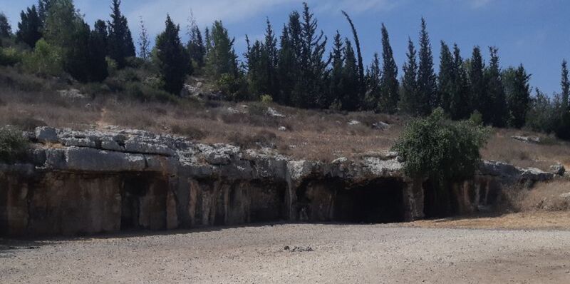 קובץ:עמוד ענן - המדריך השיתופי לידיעת הארץ.jpg