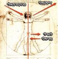 תמונה ממוזערת לגרסה מ־03:35, 5 בדצמבר 2024